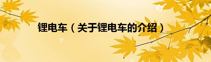 锂电车（关于锂电车的介绍）