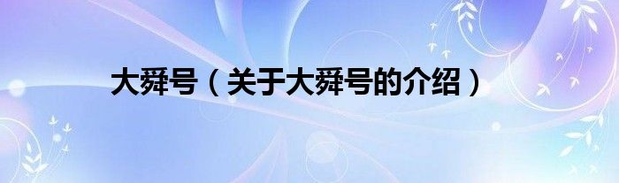 大舜号（关于大舜号的介绍）