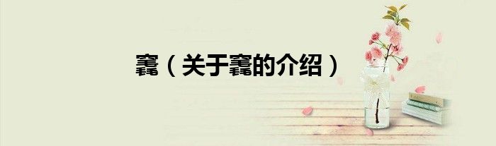 竁（关于竁的介绍）