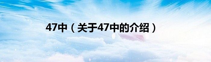 47中（关于47中的介绍）
