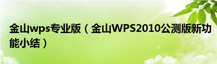 金山wps专业版（金山WPS2010公测版新功能小结）