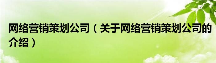 网络营销策划公司（关于网络营销策划公司的介绍）