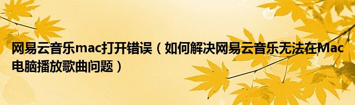 网易云音乐mac打开错误（如何解决网易云音乐无法在Mac电脑播放歌曲问题）