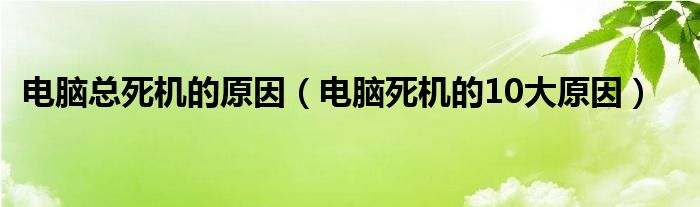 电脑总死机的原因（电脑死机的10大原因）