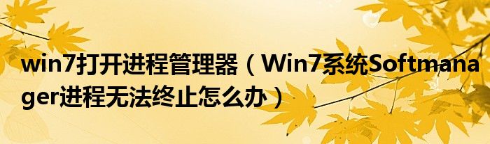 win7打开进程管理器（Win7系统Softmanager进程无法终止怎么办）