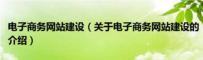 电子商务网站建设（关于电子商务网站建设的介绍）