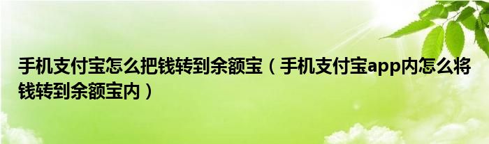 手机支付宝怎么把钱转到余额宝（手机支付宝app内怎么将钱转到余额宝内）