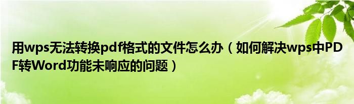 用wps无法转换pdf格式的文件怎么办（如何解决wps中PDF转Word功能未响应的问题）