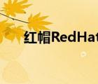 红帽RedHat（Linux5系统安装指南）