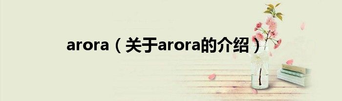 arora（关于arora的介绍）