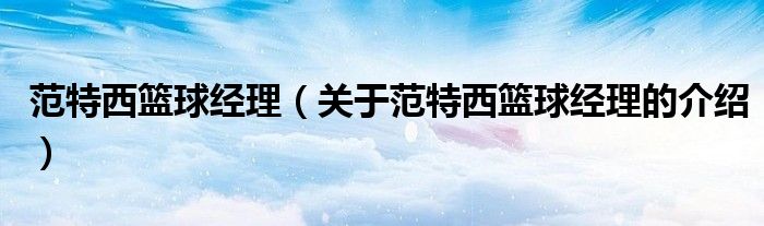 范特西篮球经理（关于范特西篮球经理的介绍）