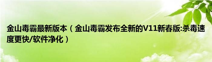 金山毒霸最新版本（金山毒霸发布全新的V11新春版:杀毒速度更快/软件净化）