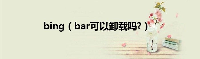 bing（bar可以卸载吗?）