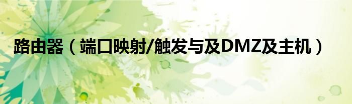 路由器（端口映射/触发与及DMZ及主机）