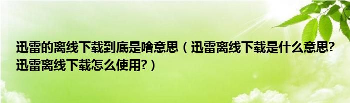 迅雷的离线下载到底是啥意思（迅雷离线下载是什么意思?迅雷离线下载怎么使用?）