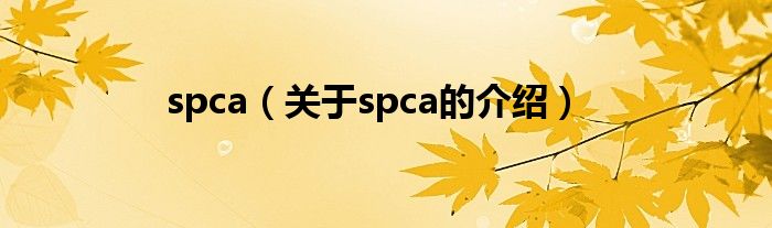 spca（关于spca的介绍）