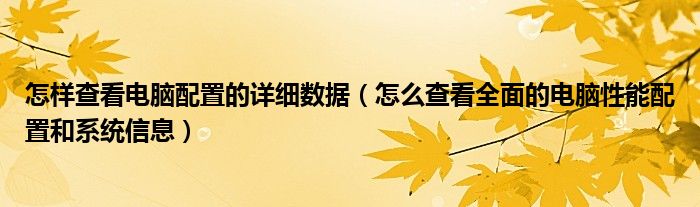 怎样查看电脑配置的详细数据（怎么查看全面的电脑性能配置和系统信息）