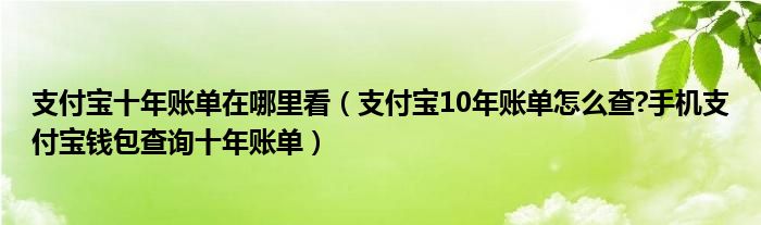 支付宝十年账单在哪里看（支付宝10年账单怎么查?手机支付宝钱包查询十年账单）