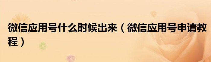 微信应用号什么时候出来（微信应用号申请教程）