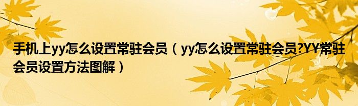 手机上yy怎么设置常驻会员（yy怎么设置常驻会员?YY常驻会员设置方法图解）