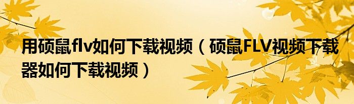 用硕鼠flv如何下载视频（硕鼠FLV视频下载器如何下载视频）