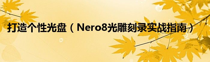 打造个性光盘（Nero8光雕刻录实战指南）