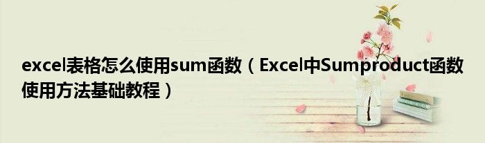 excel表格怎么使用sum函数（Excel中Sumproduct函数使用方法基础教程）