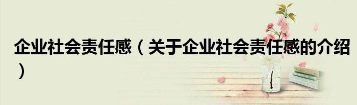 企业社会责任感（关于企业社会责任感的介绍）