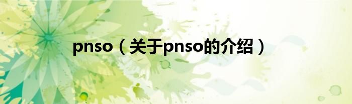pnso（关于pnso的介绍）