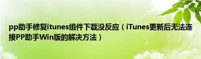 pp助手修复itunes组件下载没反应（iTunes更新后无法连接PP助手Win版的解决方法）