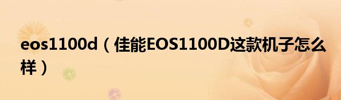 eos1100d（佳能EOS1100D这款机子怎么样）