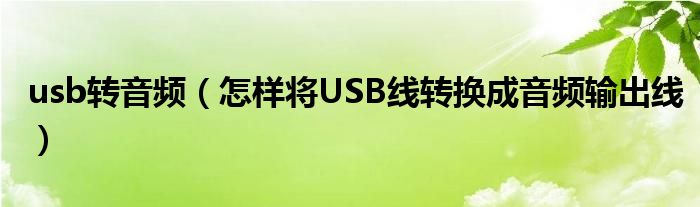 usb转音频（怎样将USB线转换成音频输出线）