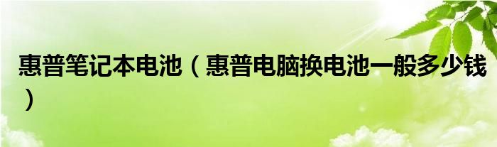 惠普笔记本电池（惠普电脑换电池一般多少钱）