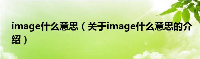 image什么意思（关于image什么意思的介绍）