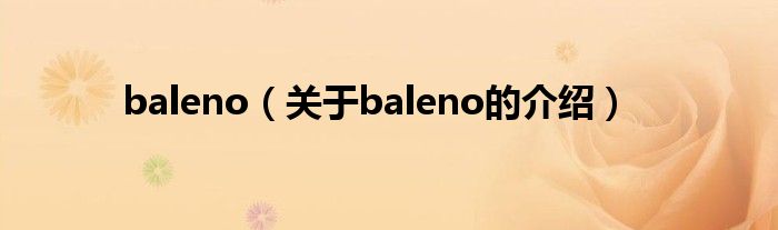 baleno（关于baleno的介绍）