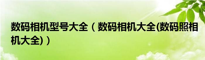 数码相机型号大全（数码相机大全(数码照相机大全)）