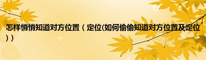 怎样悄悄知道对方位置（定位(如何偷偷知道对方位置及定位)）