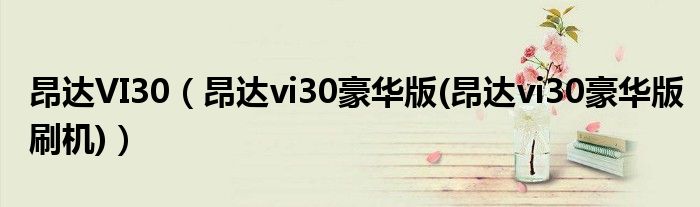 昂达VI30（昂达vi30豪华版(昂达vi30豪华版刷机)）