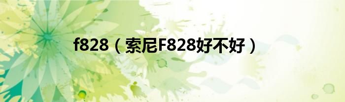 f828（索尼F828好不好）