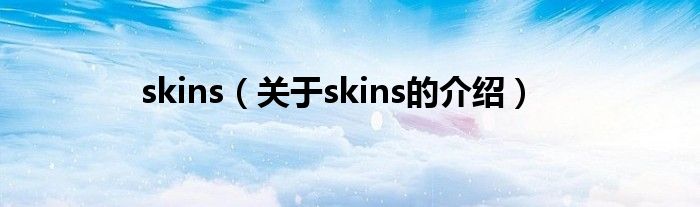 skins（关于skins的介绍）