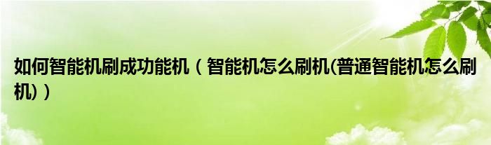 如何智能机刷成功能机（智能机怎么刷机(普通智能机怎么刷机)）