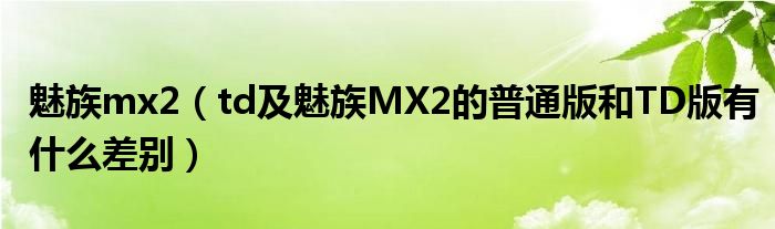 魅族mx2（td及魅族MX2的普通版和TD版有什么差别）