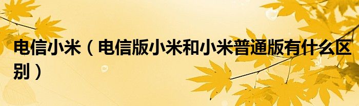 电信小米（电信版小米和小米普通版有什么区别）