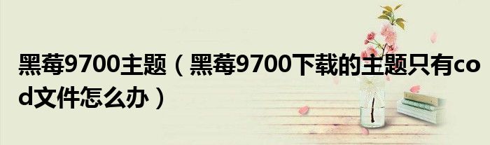 黑莓9700主题（黑莓9700下载的主题只有cod文件怎么办）