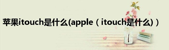 苹果itouch是什么(apple（itouch是什么)）