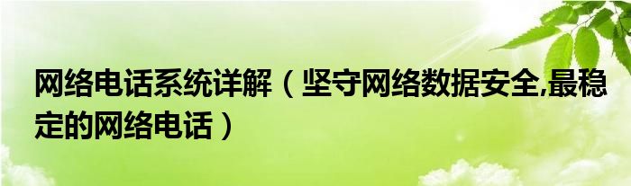 网络电话系统详解（坚守网络数据安全,最稳定的网络电话）