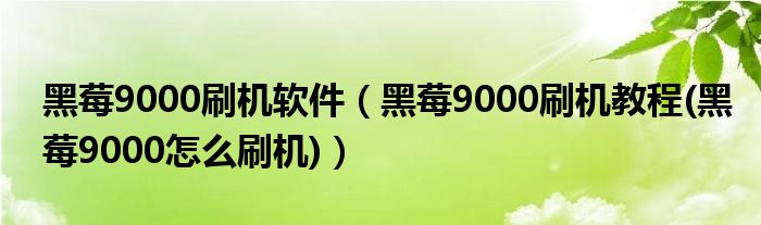 黑莓9000刷机软件（黑莓9000刷机教程(黑莓9000怎么刷机)）