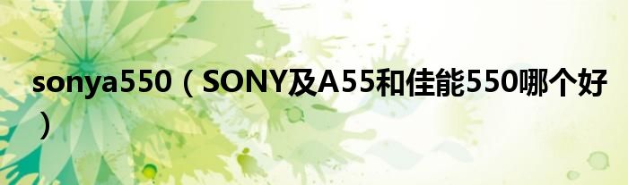 sonya550（SONY及A55和佳能550哪个好）