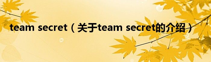 team secret（关于team secret的介绍）