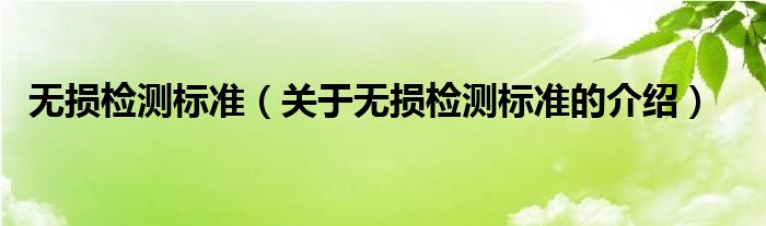 无损检测标准（关于无损检测标准的介绍）